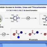 【JACS】苏州大学李杰课题组：固体氨甲酰基锌试剂：酰胺、脲和硫代氨基甲酸酯的“乐高式”合成