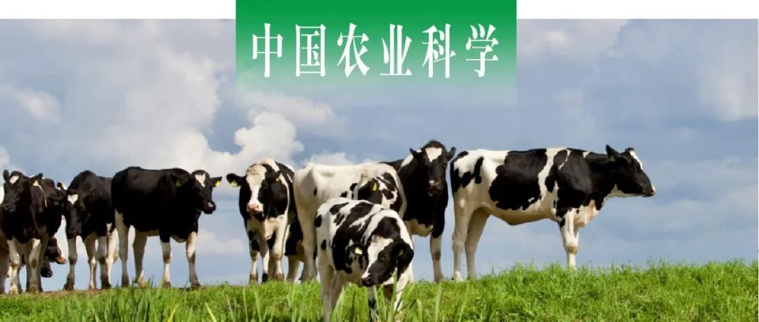 中国农业科学｜中国农科院饲料所基于GreenFeed系统研究绿原酸对泌乳中后期奶牛瘤胃甲烷排放、发酵参数和生产性能的影响