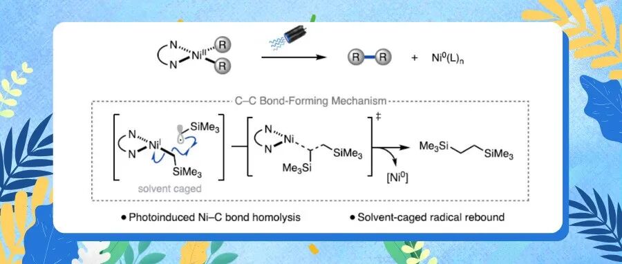 【JACS】加州大学Doyle等团队：高难度C(sp&#179;)&#8722;C(sp&#179;)偶联反应的新型策略以及机理的研究