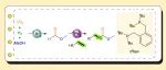 【JACS】莱布尼茨催化研究所：使用CO&#8322;和H&#8322;对烯烃进行高选择性羰基化反应