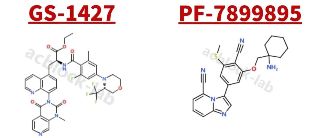 炎症性肠病活性分子：GS-1427与PF-07899895 | 药物研发合成路线