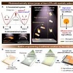 研究前沿：液晶聚合物-突跳失稳snap-through | Science Advances