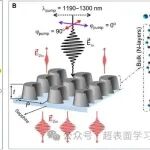 研究前沿：超表面WS2 | Science Advances