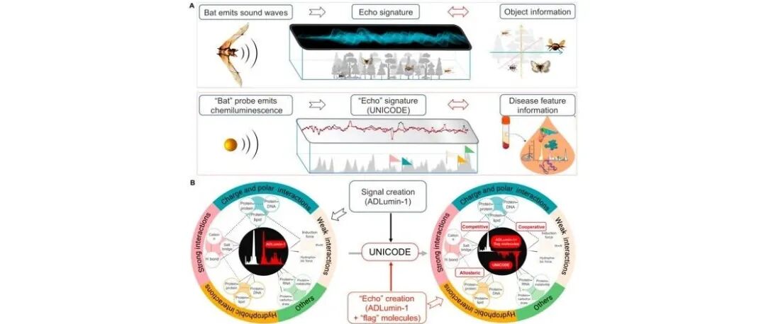 文献分享|Research：结合机器学习的化学发光特征阵列用于阿尔茨海默症血清诊断