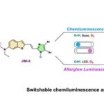 文献分享| Angew. Chem. Int. Ed.: 基于Lophine发光团的分子余辉及其成像应用