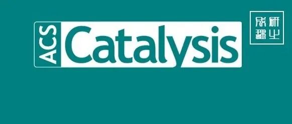王艳芹/景亚轩ACS Catalysis：近二十年来铌基催化剂在生物质转化中的研究进展