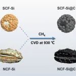 天津大学Materials Today Chemistry：用于先进锂离子电池的分级碳框架衍生的硅碳复合材料