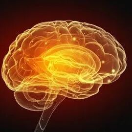 别熬夜了！牛津大学《自然》：只有睡好觉，才能拯救线粒体大危机