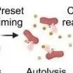 Sci Adv丨浙江大学田兵等团队报道了可编程的基因表达定时开关——BioFuse