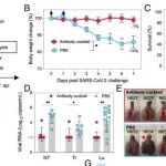 PNAS | 厦门大学郑子峥等人研究发现单体刺突蛋白双价疫苗具诱导广谱免疫潜力，为SARS-CoV-2泛疫苗设计提供新方向