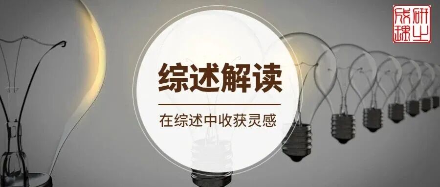 清华大学张正华团队ACB综述：基于纳米限域催化效应的高级水处理技术