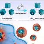 Biomaterials | 安徽农业大学孙东东等团队研究发现(PdH0.2)4Se通过NIR释氢进而诱导癌症铁死亡
