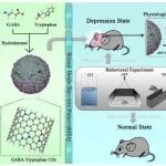 AFM | 重庆医科大学谢鹏等人研究设计的GABA-Trp&#160;CDs可穿透血脑屏障为神经疾病诊疗提供新思路
