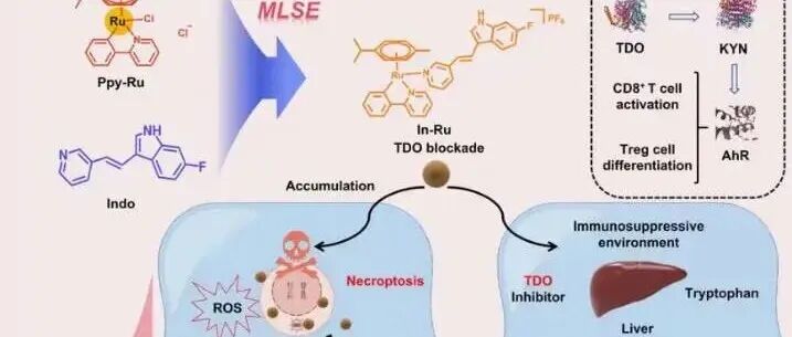 Chem. Sci &#166;新型色氨酸2,3-双加氧酶靶向Ru(II)-吲哚络合物激活体内外免疫治疗