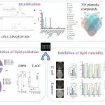 石河子大学硕士生一作在一区Top期刊（IF=9.8）发表研究成果