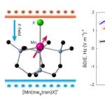 研究进展：分子磁体 | Nature Chemistry