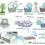 安农大陈玉霞教授团队 AFM: 超薄轻质中空MOF@竹衍生的碳基复合材料 - 用于高效的电磁屏蔽和热管理