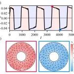 西安交大徐光魁教授课题组  Biophys. J. : 群体细胞迁移中的自发反转机制