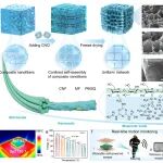 广西大学聂双喜教授团队 Adv. Funct. Mater.：预成核控制策略构筑纤维素气凝胶基摩擦电材料
