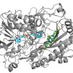 吉林大学安泽胜教授 JACS: 仅需50 ppb的近红外光催化剂即可获得超高分子量聚合物