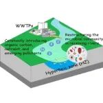 河海大学李轶课题组WR：微生物代谢功能是尾水主导型河流潜流带中抗生素抗性基因分布的关键驱动因素