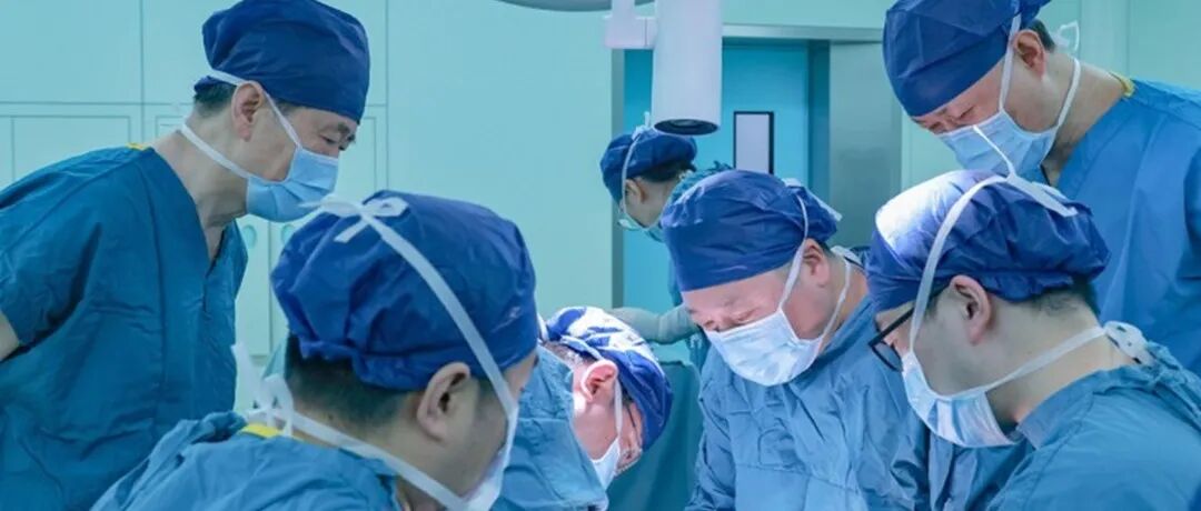 最难移植的器官：中国完成迄今首例猪肺人体移植