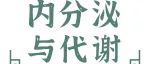 Cell Rep丨蔡振宇团队揭示TCF25蛋白在葡萄糖饥饿条件下调控代谢应激与细胞死亡中的关键功能