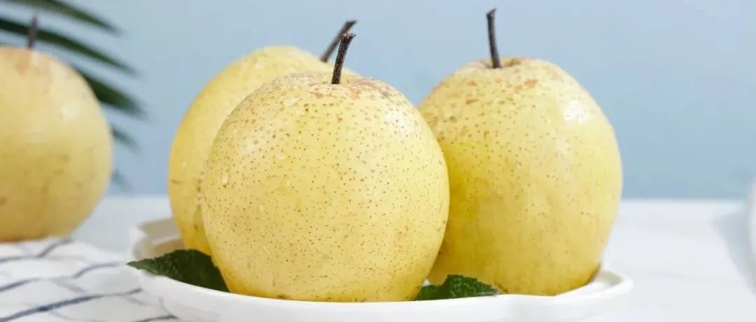 《食品科学》河北农业大学桑亚新教授、田桂芳副教授等：蒸汽爆破耦合处理对雪花梨渣纤维素功能特性的提升规律