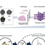 Nat Cancer | 海军军医大学任善成教授团队开发磁共振-病理AI大模型，实现前列腺癌无创精准诊断与分级