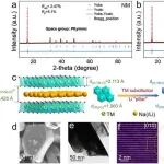 填补钠电池研究空白！北京理工大学最新AFM！