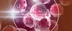 抗癌黑科技再升级！Science子刊：“即插即用”CAR-T 细胞疗法来了，实体瘤治疗有望迎来曙光