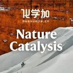 南方科技大学刘心元团队在脂肪醇的不对称O-烷基化领域取得重要进展