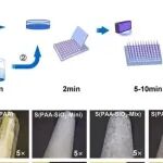 Adv Sci丨周遵春等团队研究报道了一种创新的SiO2改性水凝胶DNA分离器可用于核酸检测