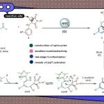【Chin. J. Chem.】河北大学齐静/段小勇团队：氮杂环卡宾不对称催化[5+1]环加成反应对氮杂螺[4.5]癸烷的构建