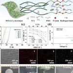 上硅所李驰麟/钱荣JEC：两性分子痕量填充策略实现大容量、长寿命Li-Fe-F转换全固态电池
