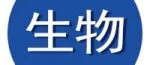严锋教授/朱美芳院士Nature Materials.：用凝胶介导内压力封装的柔性纤维状燃料电池