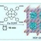 AFM | 重庆大学蔡开勇等人研究设计的HOF-GOx作为多功能生物催化剂可推进双硫化介导抗肿瘤免疫疗法