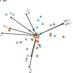 New Phytologist | 叶片VS根系，谁才是养分回收大师？ ——34种温带树木颠覆传统认知的生存策略