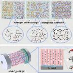 中南大学喻桂朋教授团队 Adv. Sci.：通过氢键交换诱导的微相分离建立COF“A&B”凝胶
