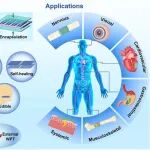 东华大学毛吉富研究员团队《eScience》综述：植入式储能器件的研究进展与应用