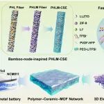 浙理工胡毅教授 Adv. Funct. Mater.：仿生竹节结构复合电解质为全固态锂金属电池提供新路径