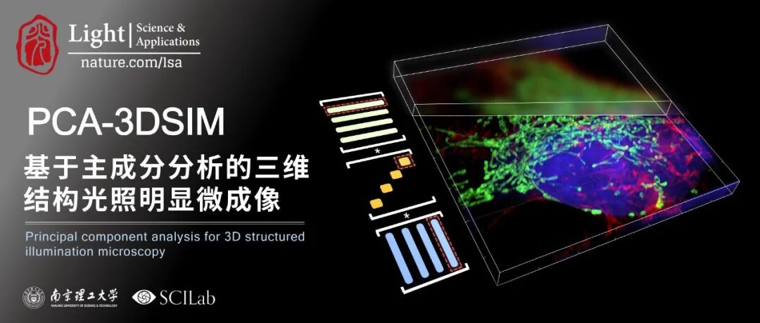 陈钱/左超团队Light | 基于主成分分析的三维结构光照明显微成像