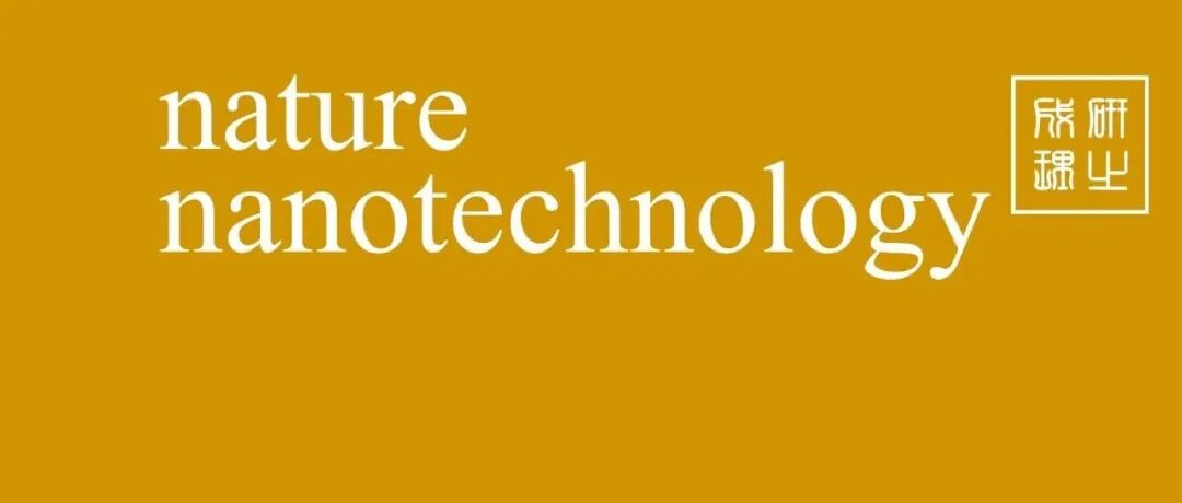 南方科技大学，Nature Nanotechnology！