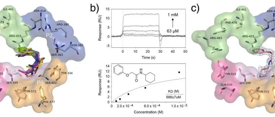 Angew. Chem. Int. Ed. | 基于片段的药物发现策略筛选Keap1-Nrf2蛋白互作的抗炎抑制剂