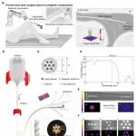 Science Advances：磁力驱动的多材料纤维机器人，用于精确的微创膝关节激光手术