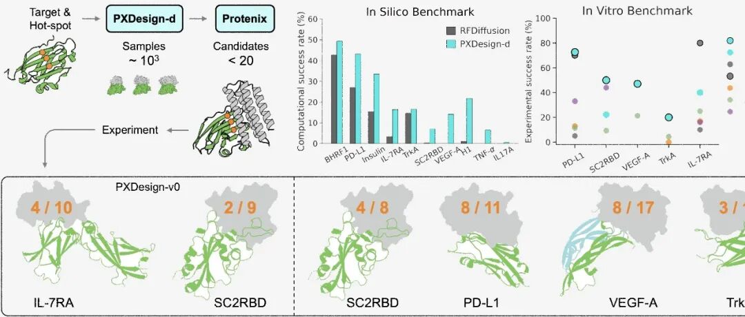 bioRxiv｜字节跳动Seed团队：快速、模块化且高精度的蛋白质结合物从头设计方法PXDesign