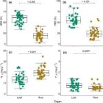 New Phytologist | 叶片VS根系，谁才是养分回收大师？&#160;——34种温带树木颠覆传统认知的生存策略