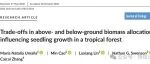 Journal of Ecology|影响热带森林幼苗生长的地上和地下生物量分配权衡(最有分配理论的变化）