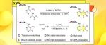 【Org. Lett.】中国科学院上海药物研究所陆晓杰：通过二硼介导的环化反应实现7,8-二氢蝶啶酮的DNA偶联合成
