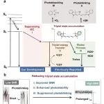 复旦SMILe课题组JACS：抑制系间窜越提升单分子成像性能